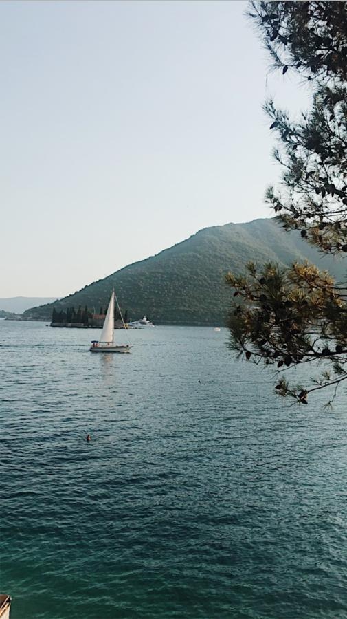 Villa Teuta Risan Bagian luar foto